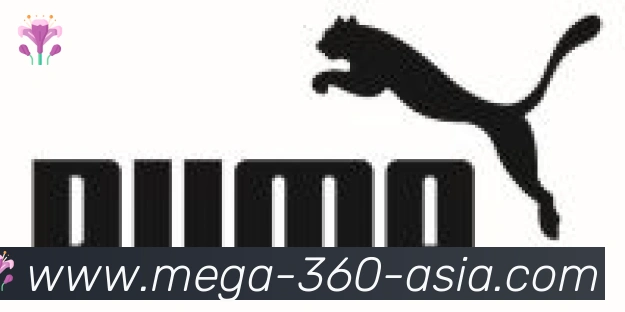 360直播合作伙伴